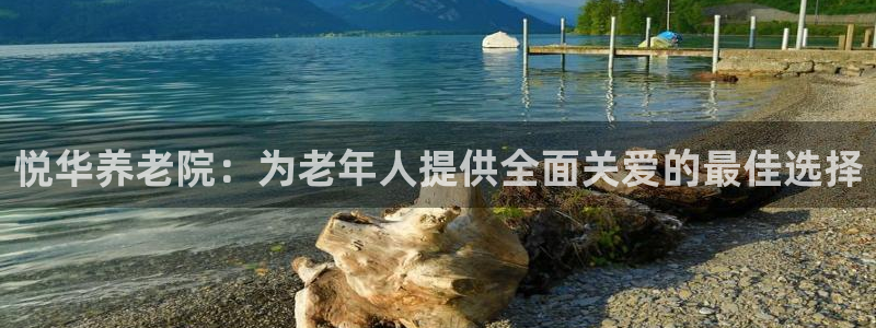韦德 网站