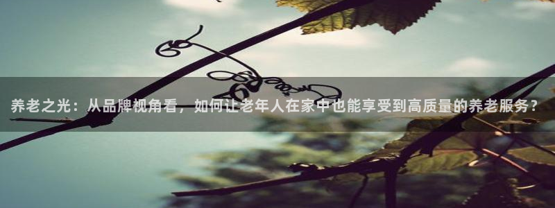 韦德游戏是什么