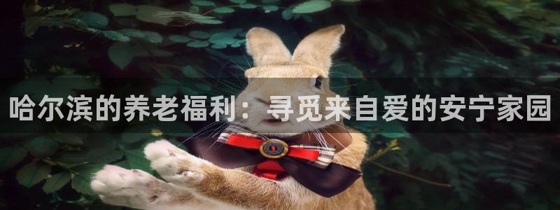 1946韦德找回密码