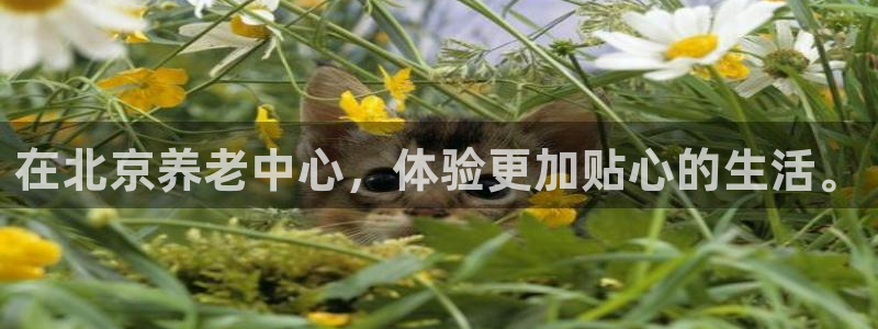 韦德bietview官网
