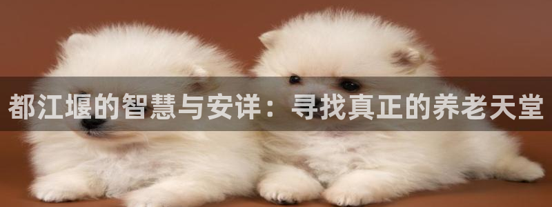 韦德注册手机版