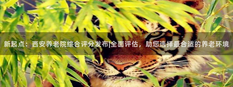 韦德betvlctor1946
