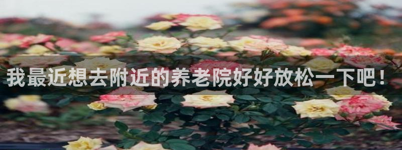 韦德国际体育