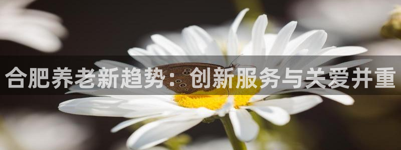 韦德官方网址