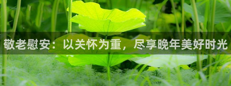 韦德游戏注册要用户口薄