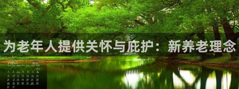 韦德网站是多少