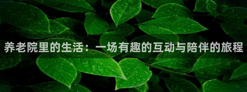 韦德游戏大厅