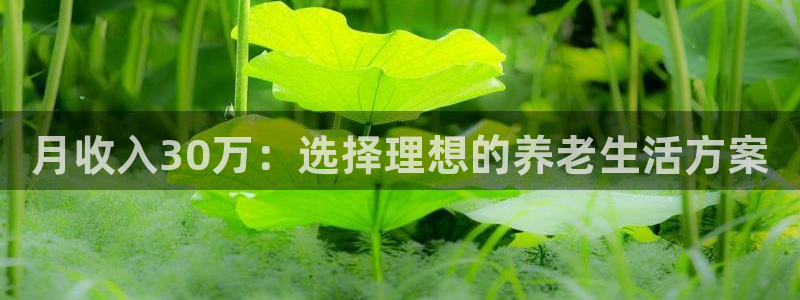 韦德1946体育官方入口