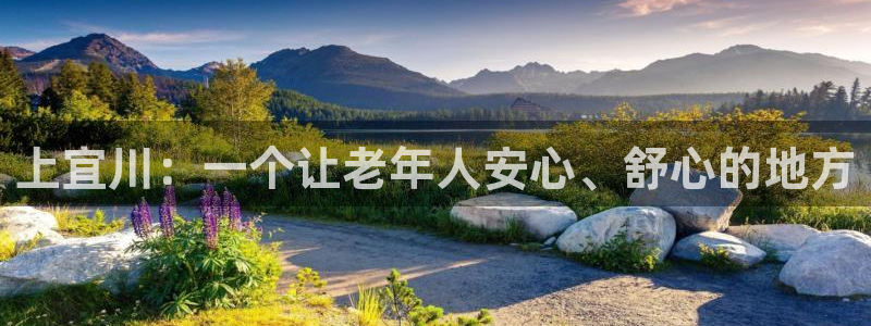 韦德bietview官网