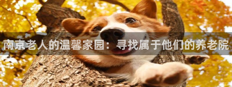 韦德游戏注册要用户口薄