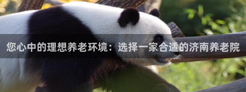 韦德官方下载
