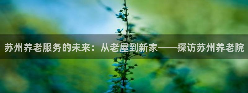 韦德网站是多少