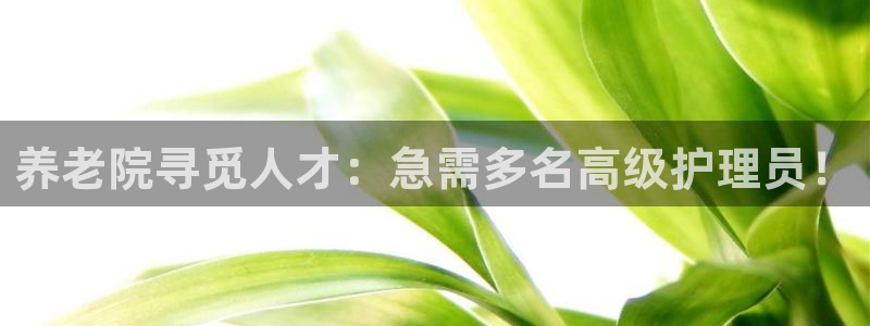 1946韦德游戏