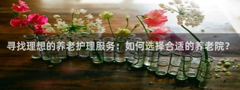 韦德1946备用网站