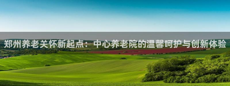 韦德网站是多少