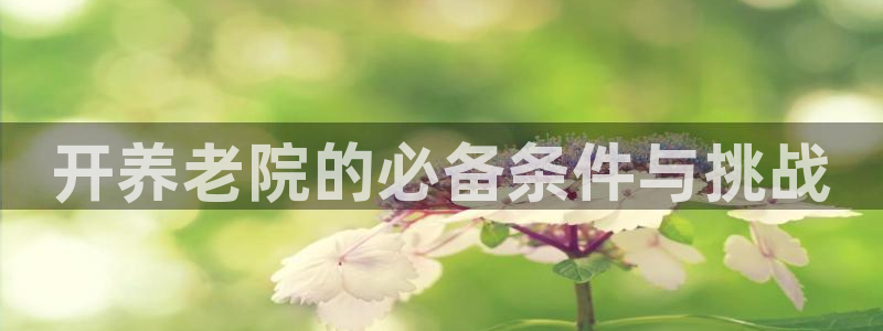 韦德游戏是什么