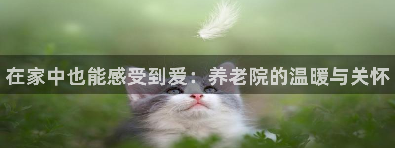 韦德1946官方网站