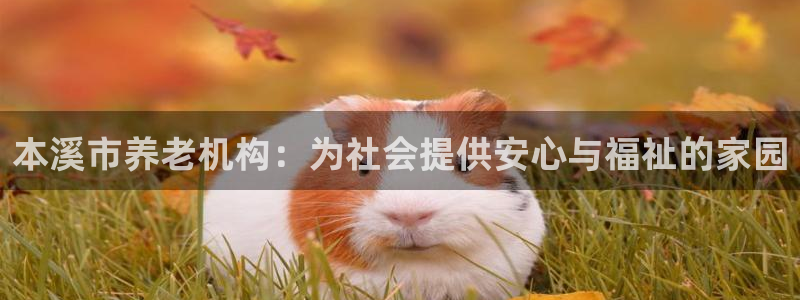 1946韦德官方网站