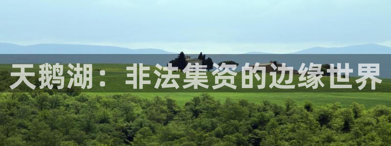 韦德观战总决赛G3