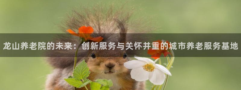 韦德1946手机网址