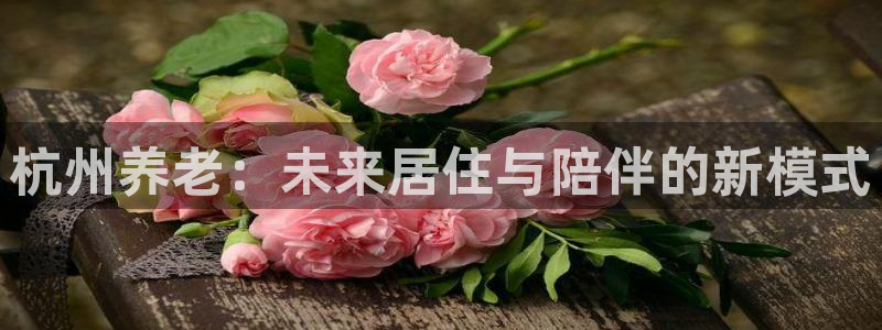 韦德游戏注册需要什么