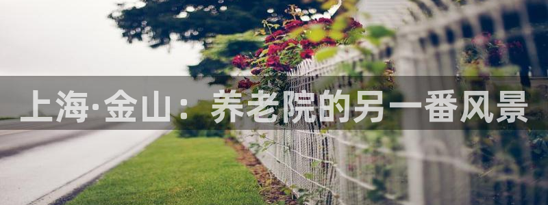 韦德注册手机版下载