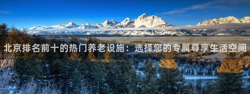 韦德观战总决赛G3