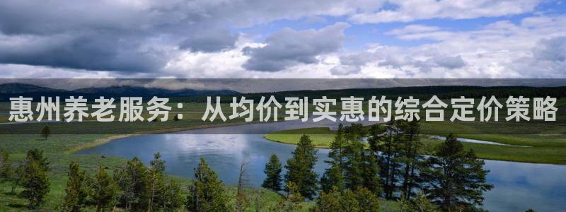 韦德网址是多少