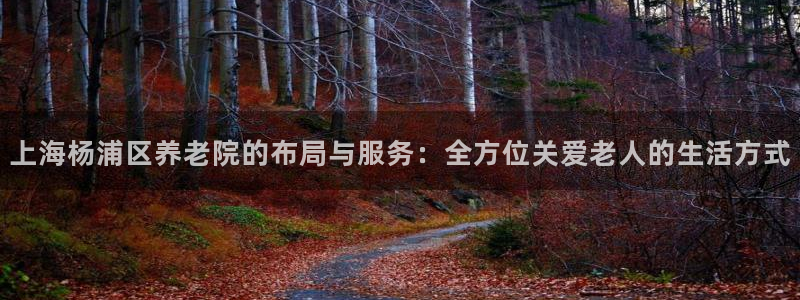 韦德bietview官网