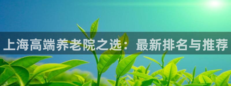 韦德网站是多少