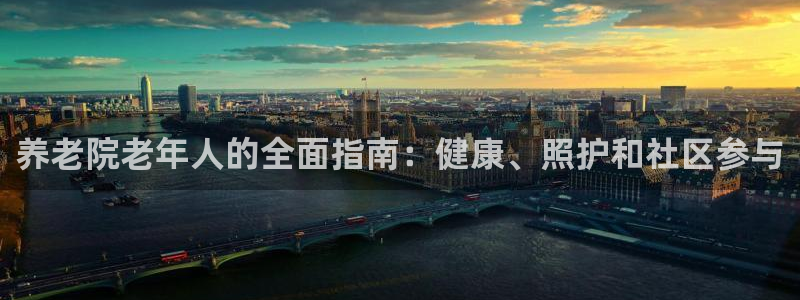 韦德网站是多少