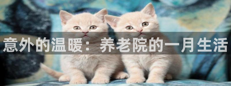 韦德注册手机版