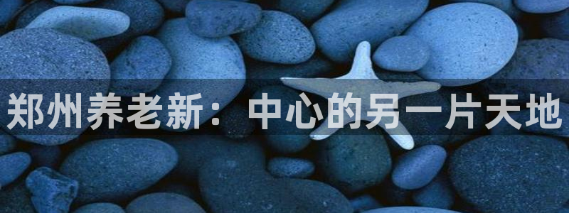 韦德网址是多少