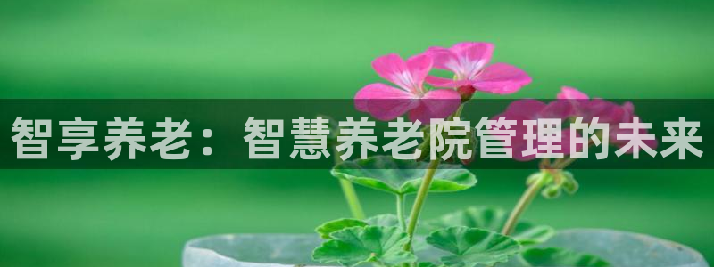 韦德1946娱乐手机版