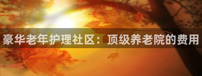 韦德1946娱乐手机版