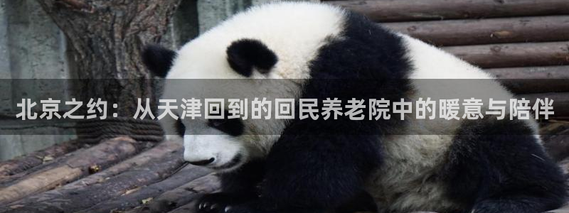 1946韦德官方网站