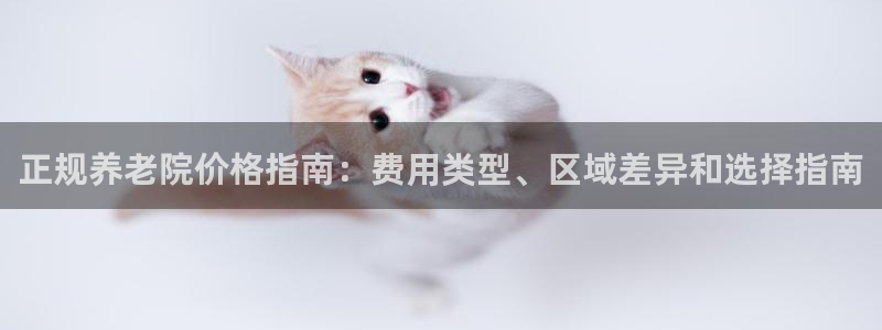 韦德游戏是什么