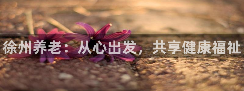 韦德国际1946官网